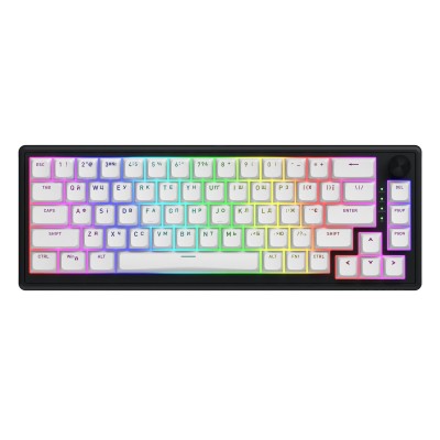 Клавиатура беспроводная Hator Skyfall 65 Wireless Black-White (HTK3160UA)